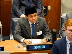 RI Ajak Dunia Perkuat Konservasi Mangrove di Forum PBB untuk Hadapi Krisis Iklim