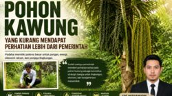Masyarakat Kawung Indonesia: Kawung Pohon Strategis yang Terlambat Mendapat Perhatian Negara