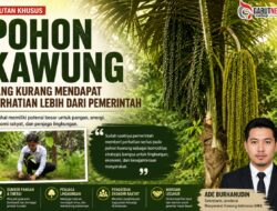 Masyarakat Kawung Indonesia: Kawung Pohon Strategis yang Terlambat Mendapat Perhatian Negara 20260628_160812